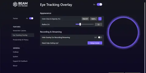 Ustawienia nakładki Eye Tracking Overlay. Możesz dostosować kolor, promień i ukryć nakładkę podczas nagrywania.