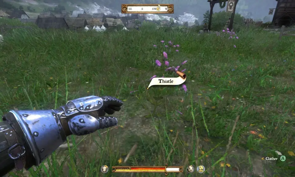 Wskazówka do Kingdom Come Deliverance: zbierz osty, by tworzyć mikstury.