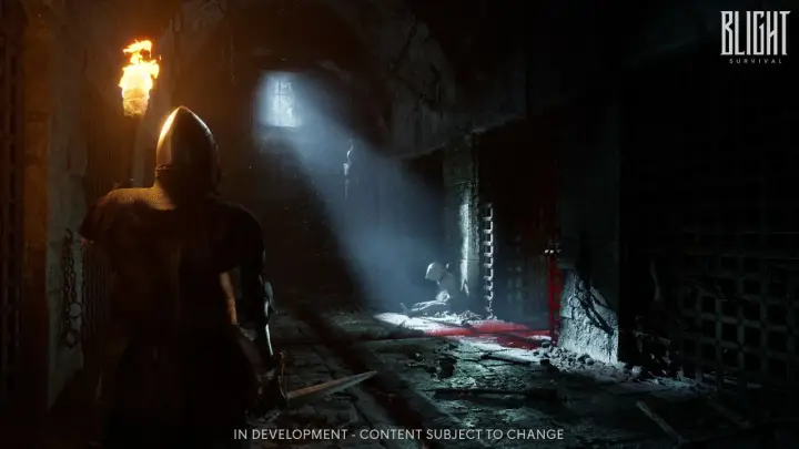Mroczne lochy, rycerz z pochodnią i mieczem, przygotowuje się do walki o przetrwanie w grze Blight Survival na Xbox.
